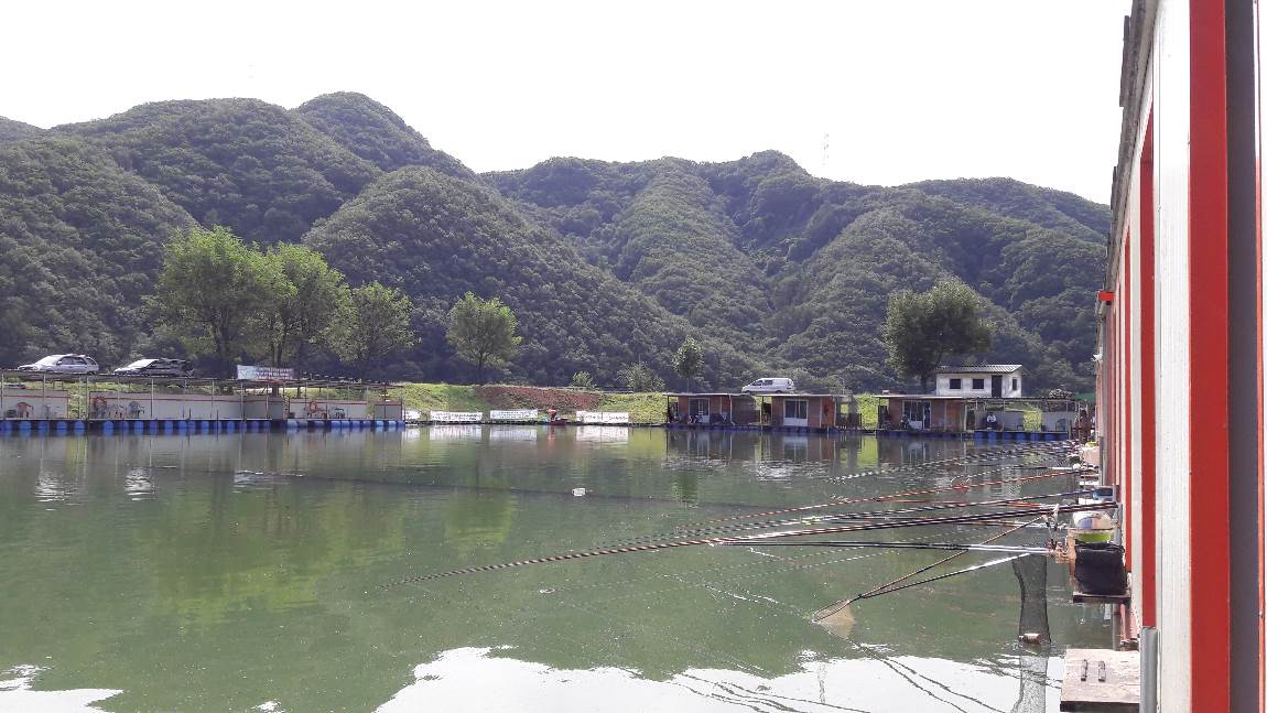 釣仙道人 > 까칠했던 입질의 주말 조황 : 낚시사랑