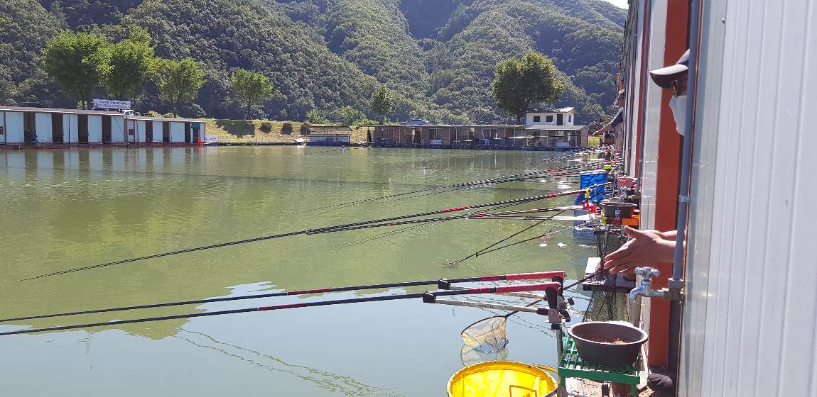 釣仙道人 > 한가위 즈음의 늦은 조행기 : 낚시사랑