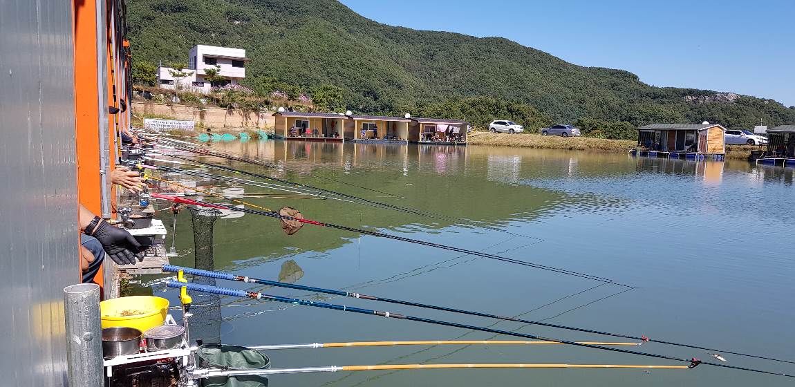 釣仙道人 > 한가위 즈음의 늦은 조행기 : 낚시사랑