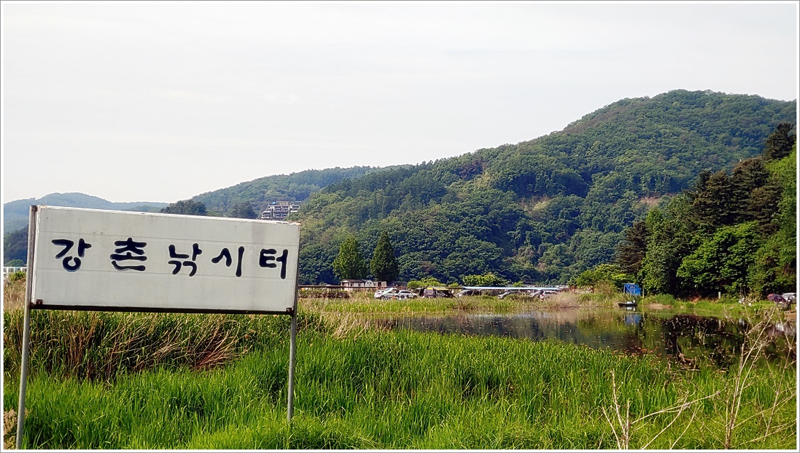 어신 > 박암리 둠벙의 강촌 낚시터 : 낚시사랑