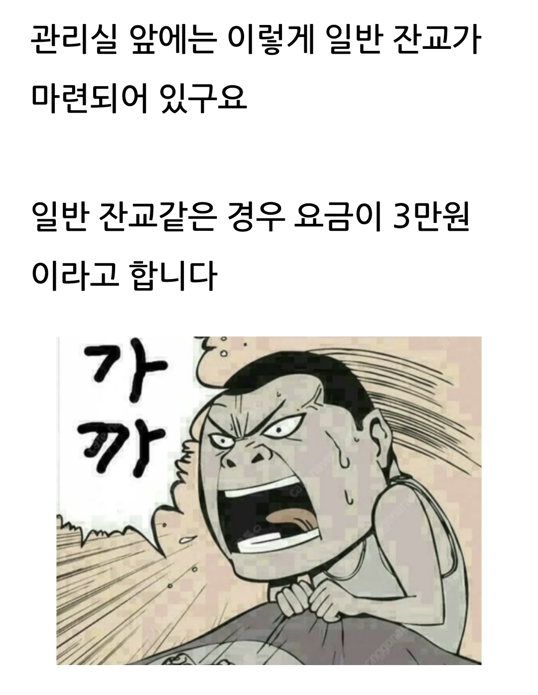 Screenshot_20230331_072854_Naver Blog.jpg