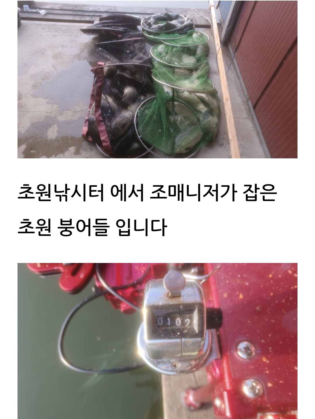 Screenshot_20230330_121413_Naver Blog.jpg