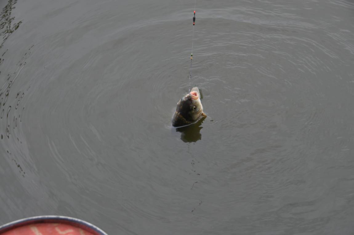 DSC_0021.JPG