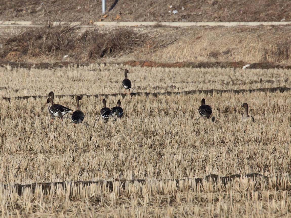 바다하늘산 > 경기도 화성 어천낚시터 개장 소식 ... 2024.2.24 ~ 2.25 ... : 낚시사랑