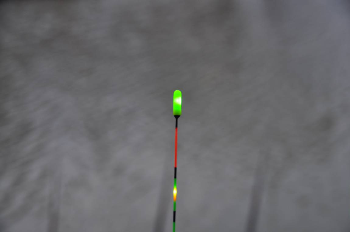 DSC_0107.JPG