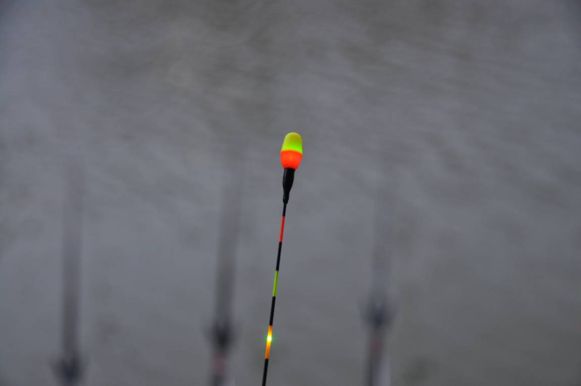 DSC_0108.JPG