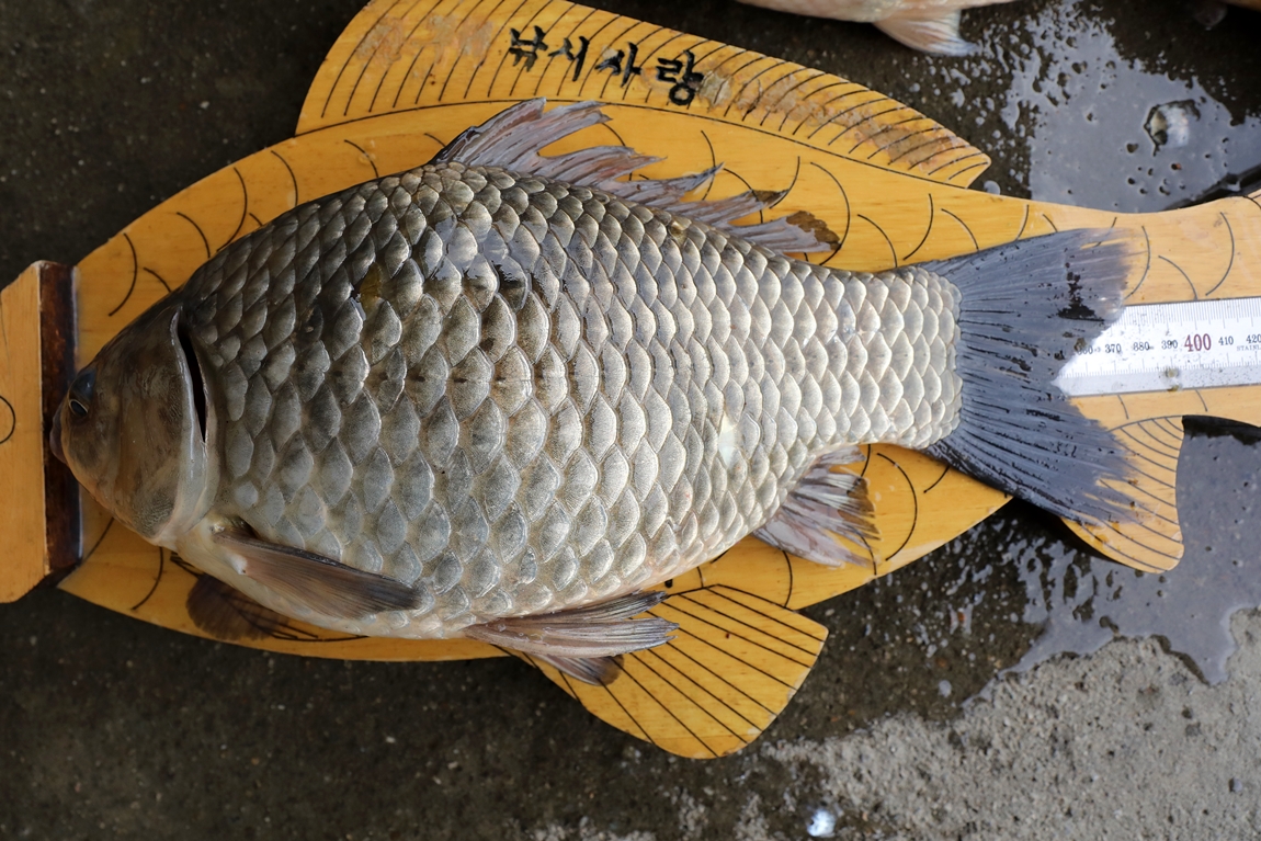 576A9614.JPG