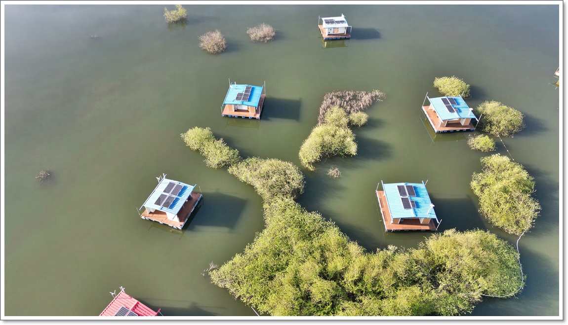 DJI_0497.JPG