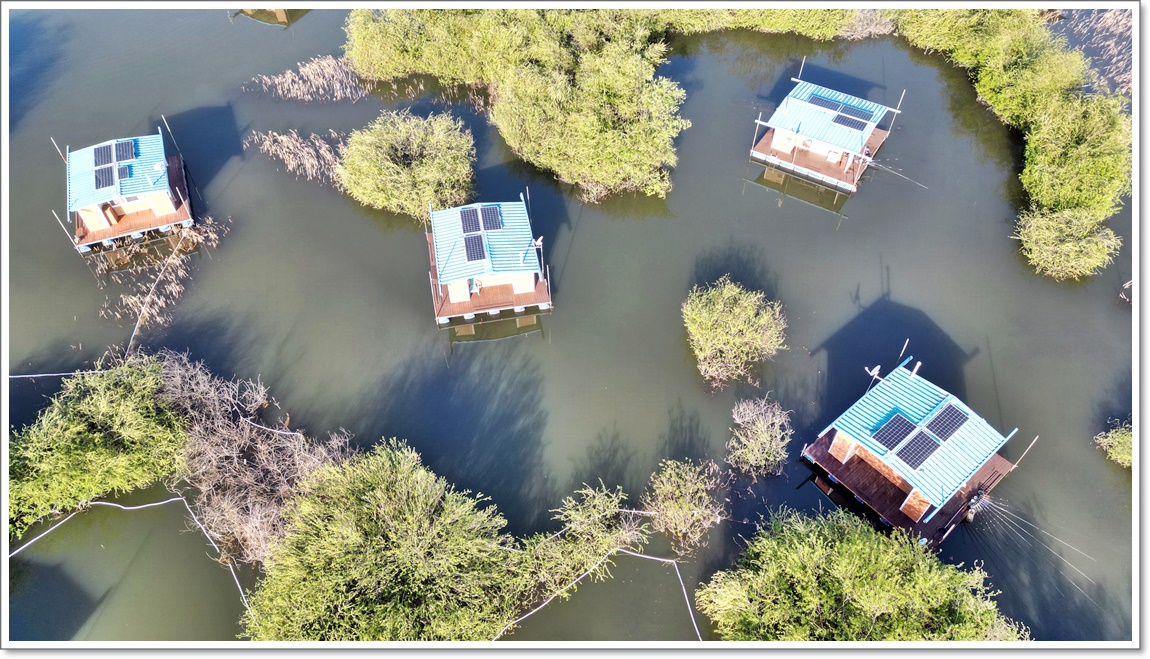 DJI_0508.JPG