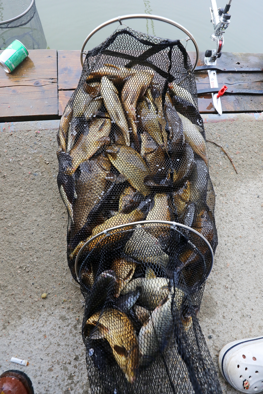 576A9912.JPG
