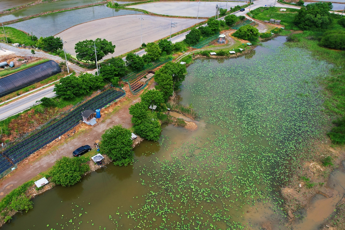 DJI_0998.JPG