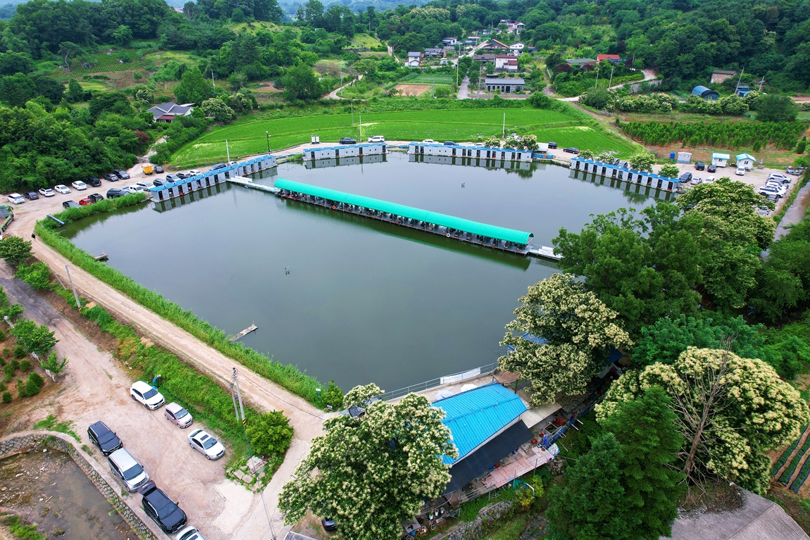 DJI_0155.JPG