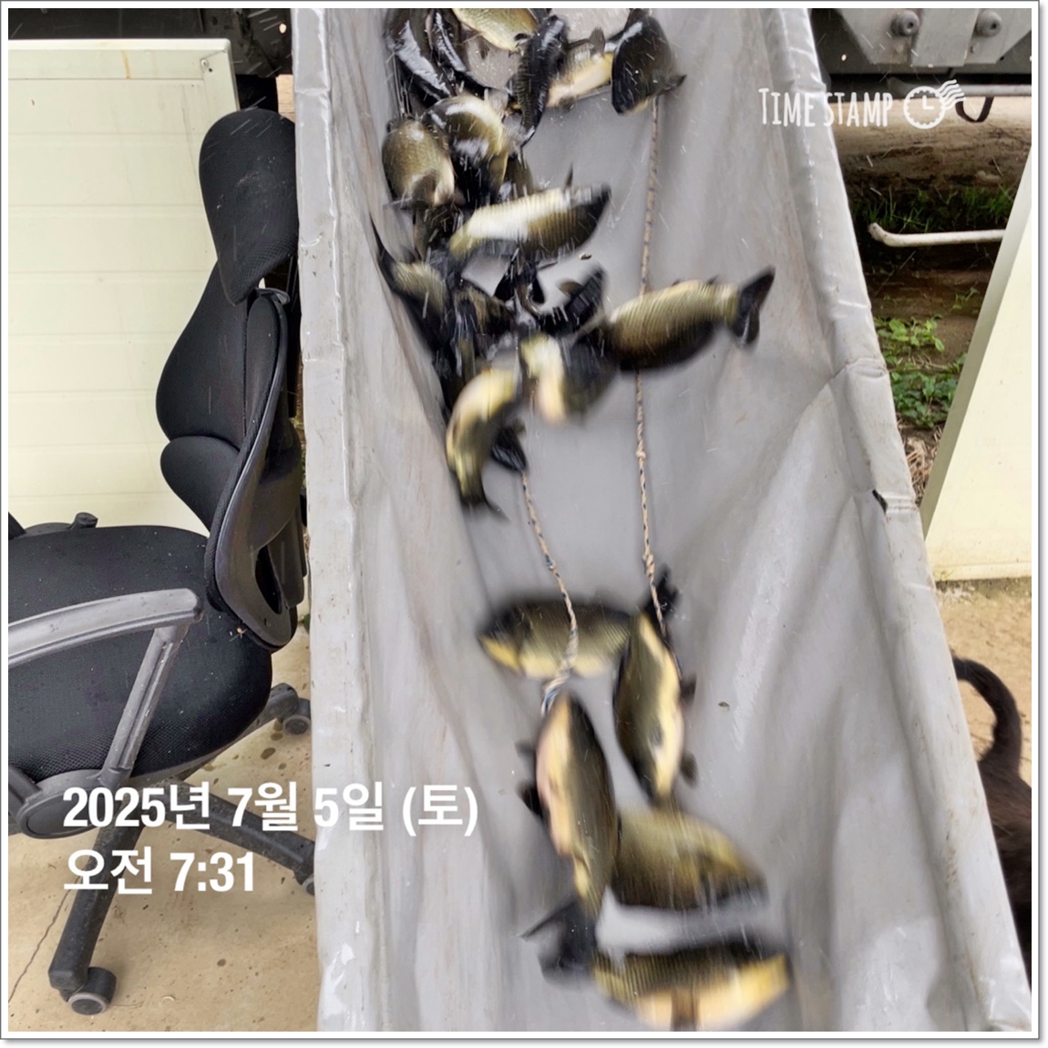 KakaoTalk_20250707_122743476_02.jpg