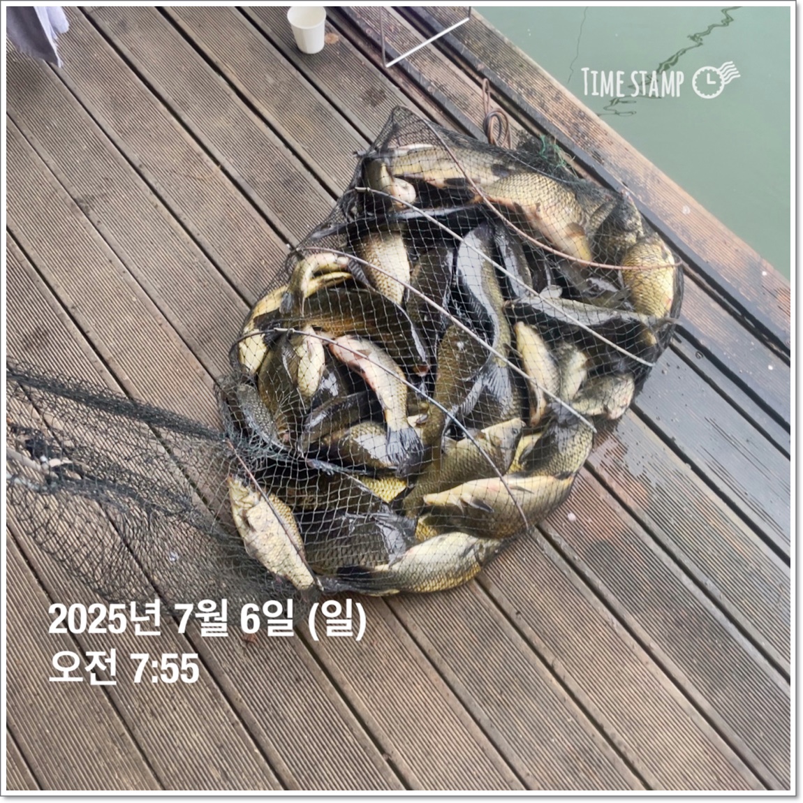 KakaoTalk_20250707_122737620_16.jpg