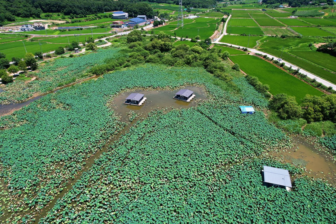 DJI_0419.JPG