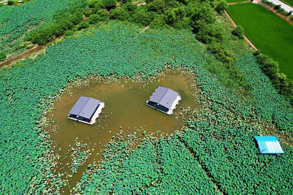 DJI_0421.JPG