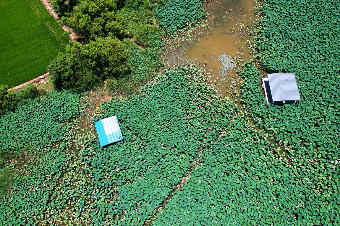 DJI_0425.JPG