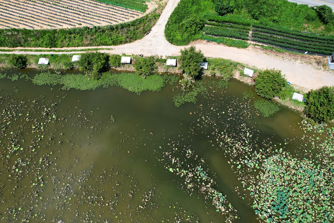 DJI_0456.JPG