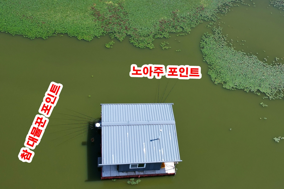 DJI_0481.JPG