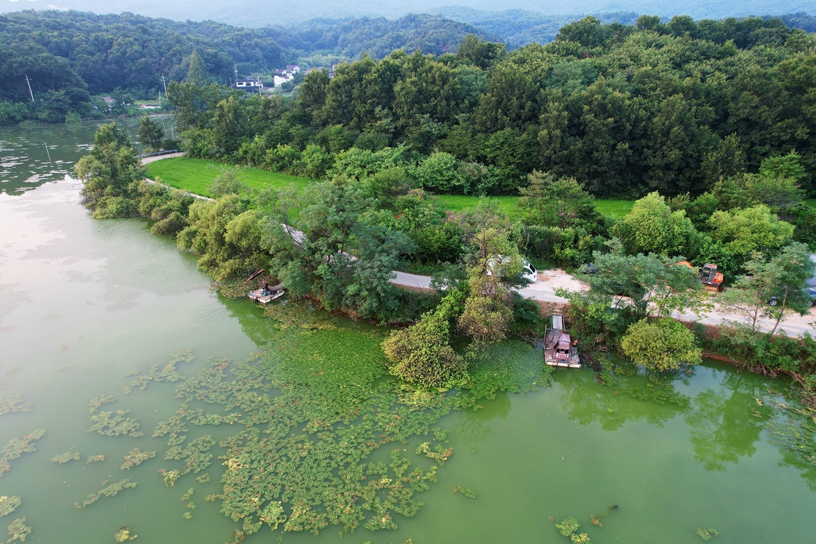 DJI_0578.JPG