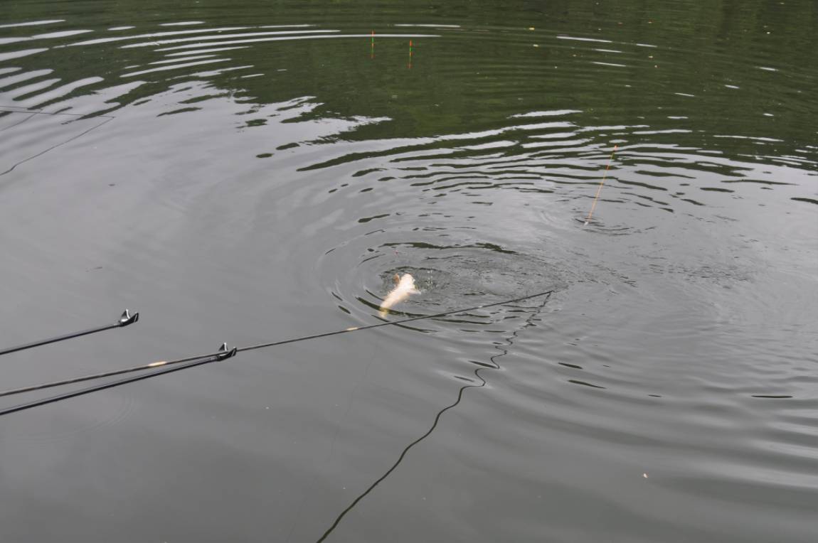DSC_0002.JPG