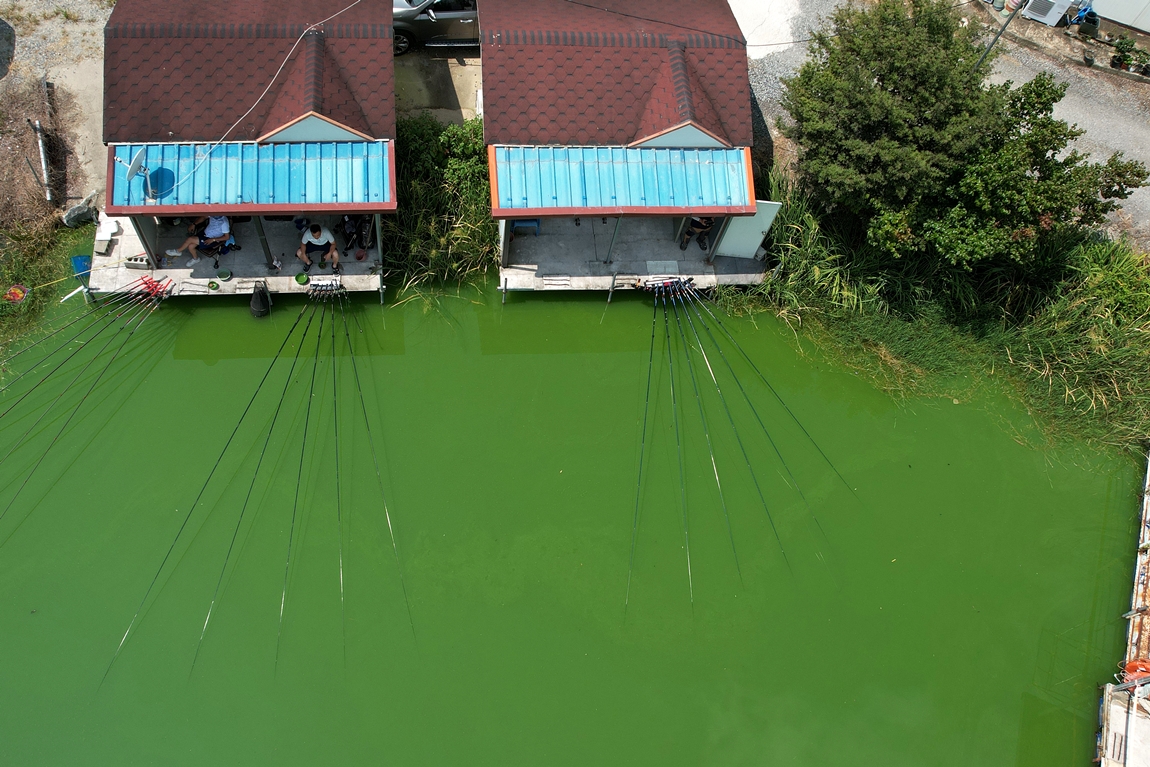 DJI_0805.JPG