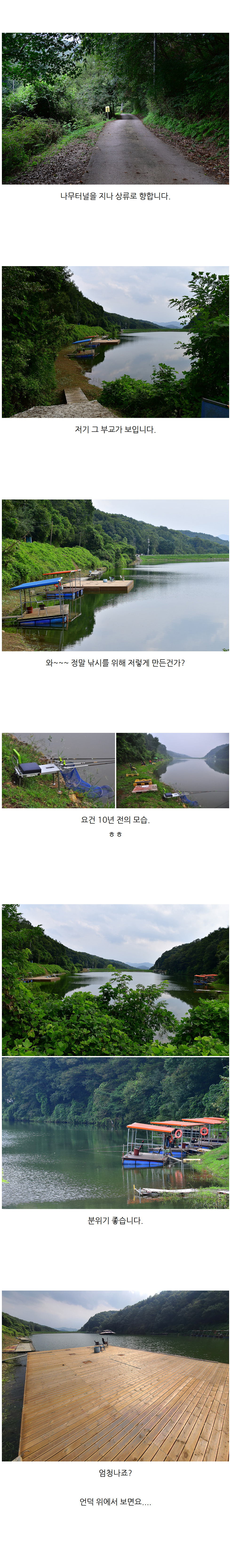 鵿 - 02.jpg