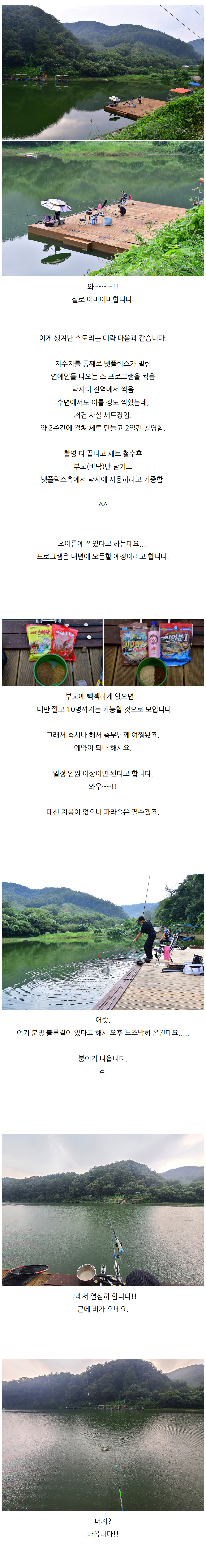 鵿 - 03.jpg