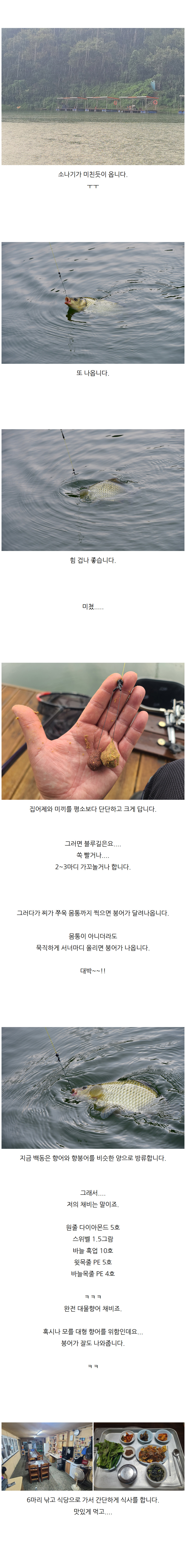 鵿 - 04.jpg