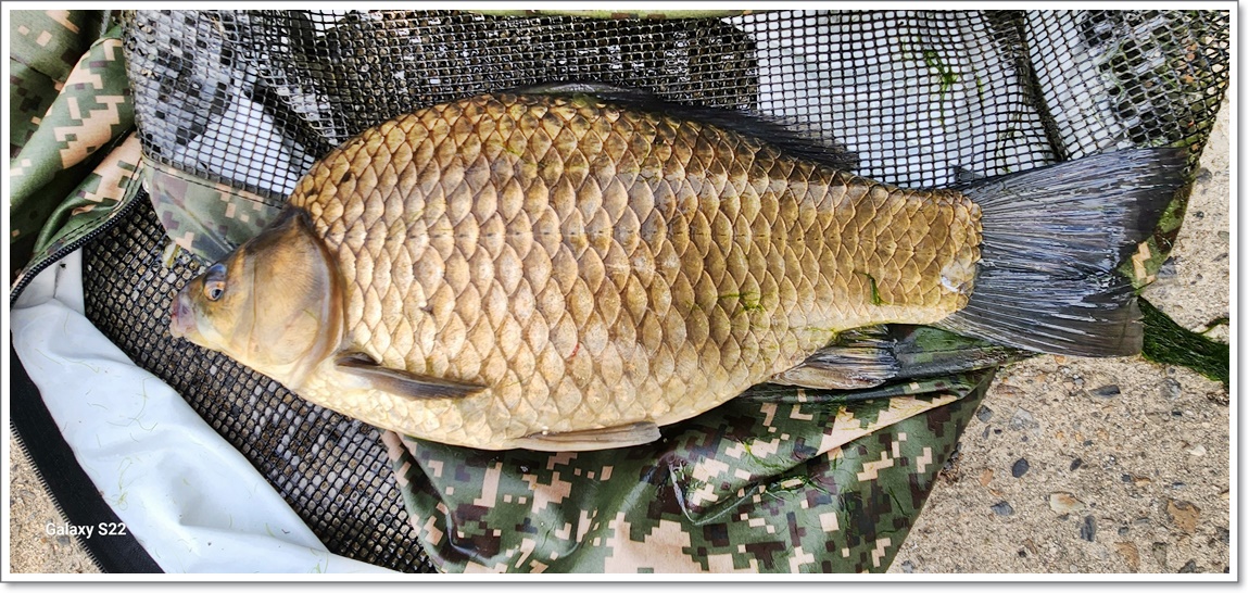 46cm  ؾ (4).jpg