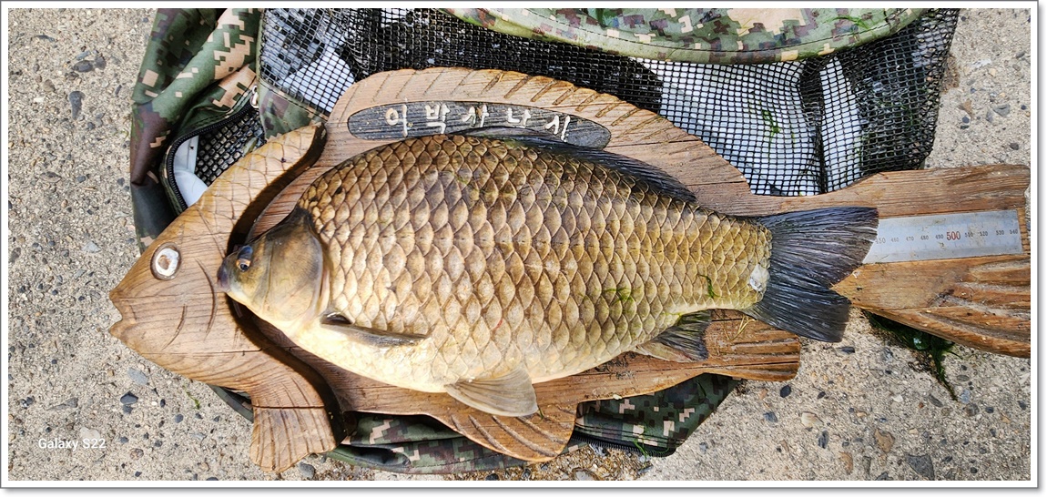46cm  ؾ (3).jpg