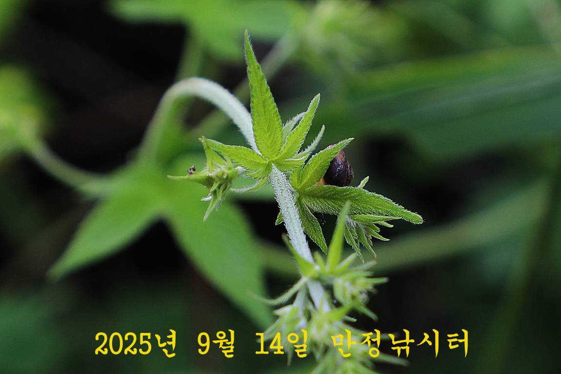 01.jpg