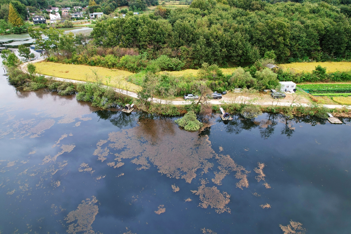 DJI_0059.JPG