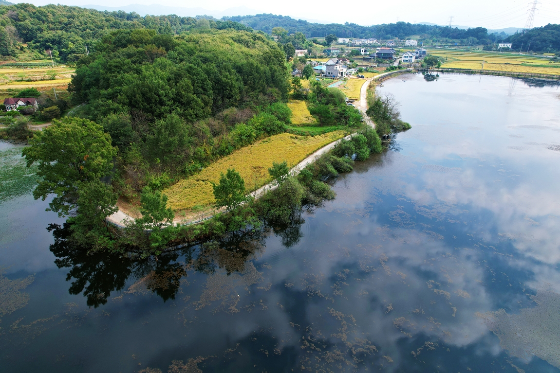 DJI_0991.JPG