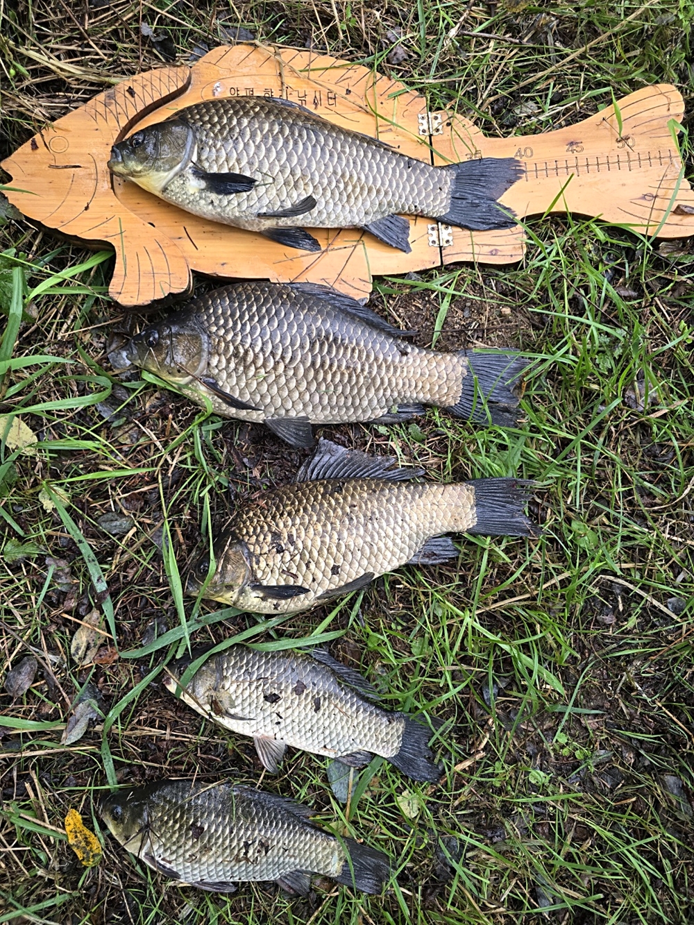 1760441207710.jpg