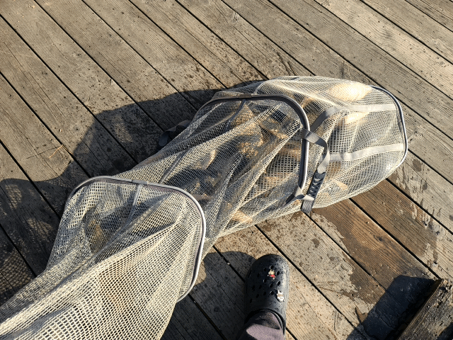 ���� �ܿ���� ������ - 11.gif