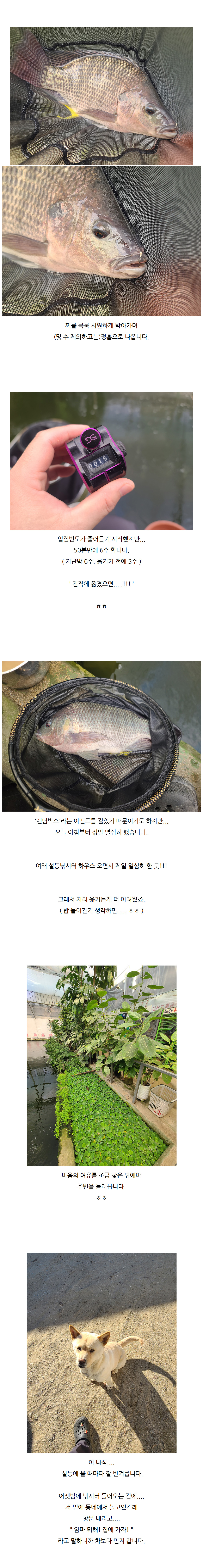 �ܿ￣ ����(����������) - 04.jpg