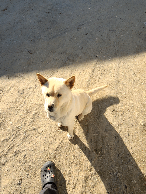 �ܿ￣ ����(����������) - 05.gif