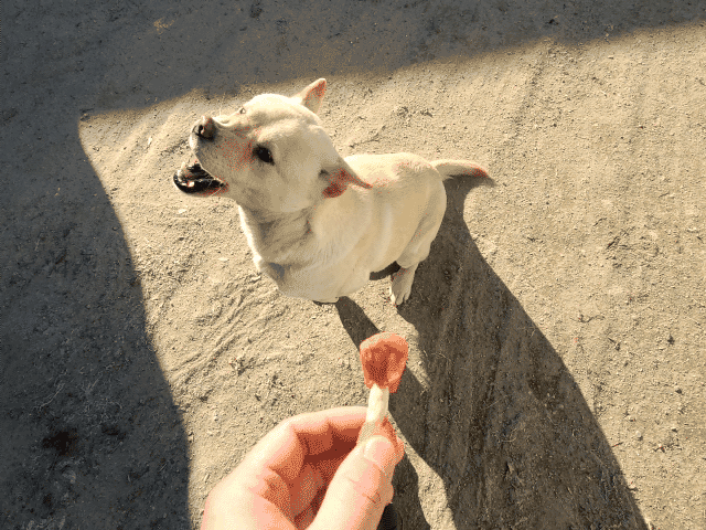 �ܿ￣ ����(����������) - 06.gif