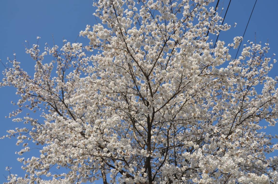 DSC_0015.JPG