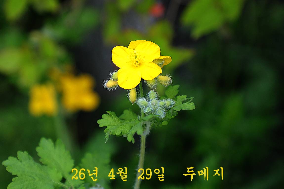 01.jpg