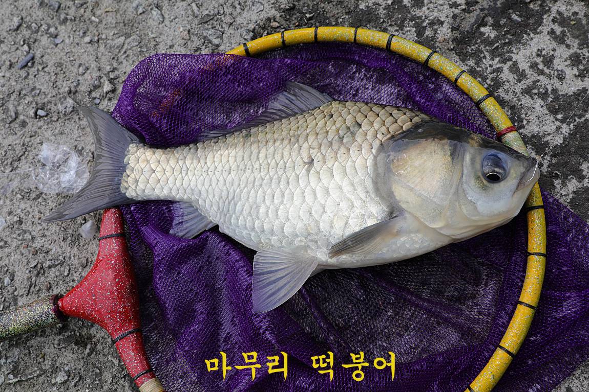 56.jpg