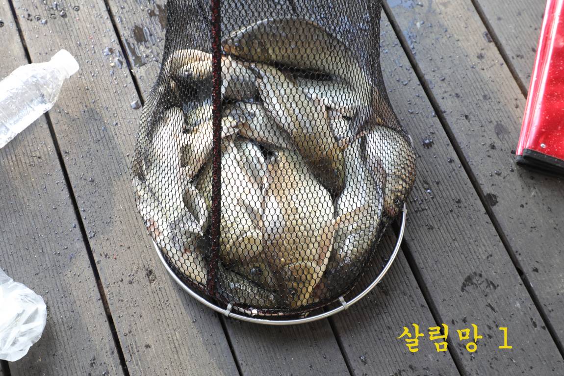 04.jpg