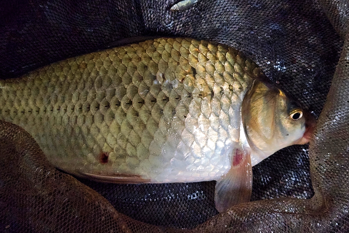 20260501_204516.jpg