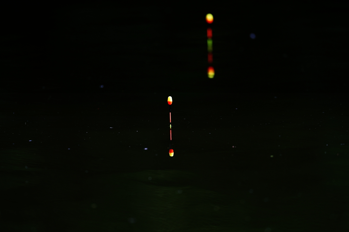 A16I5352.JPG