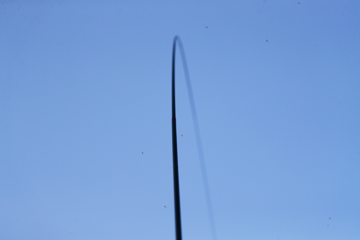 A16I5394.JPG