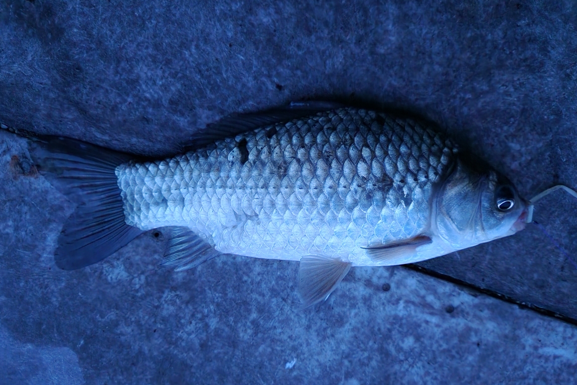 20260509_195005.jpg