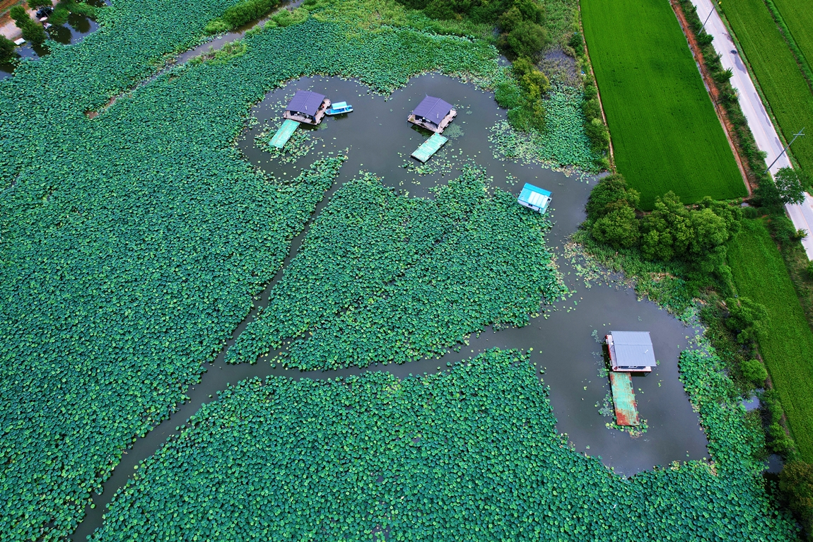 DJI_0228.JPG