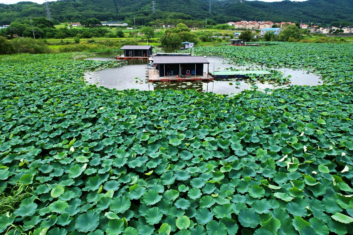 DJI_0242.JPG