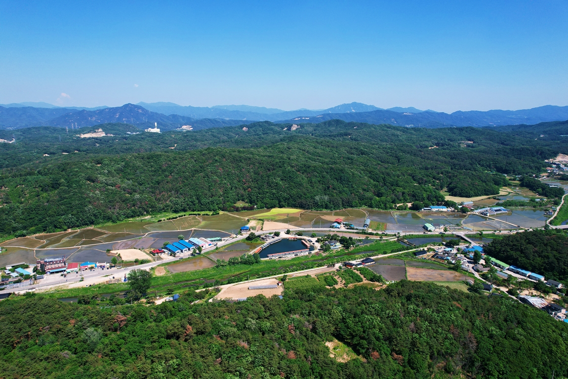 DJI_0308.JPG